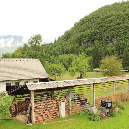 Apartments Villa Dov Bohinj Zewnętrze zdjęcie