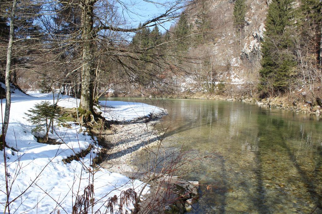 Apartments Villa Dov Bohinj Zewnętrze zdjęcie