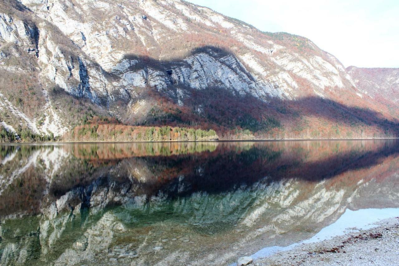 Apartments Villa Dov Bohinj Zewnętrze zdjęcie