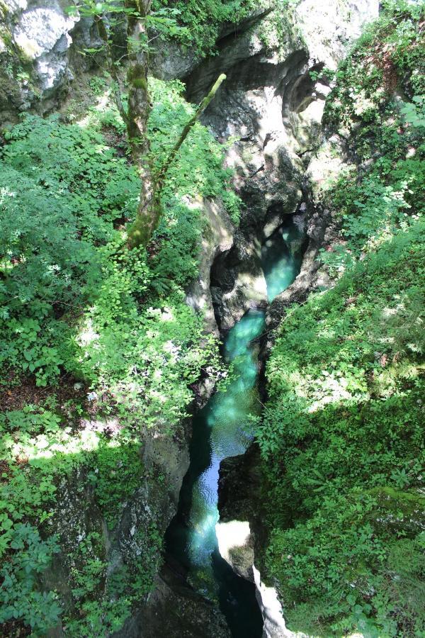 Apartments Villa Dov Bohinj Zewnętrze zdjęcie